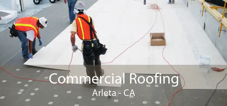 Commercial Roofing Arleta - CA