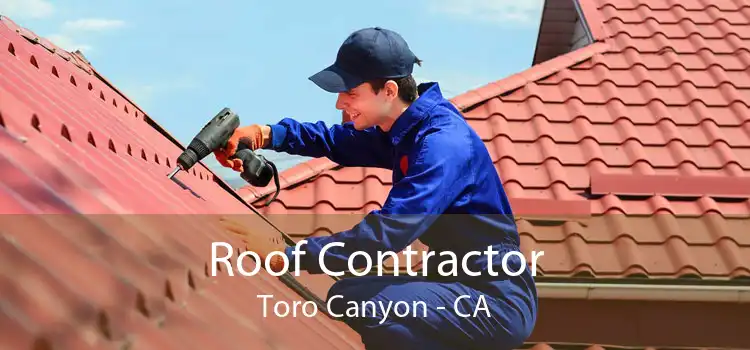 Roof Contractor Toro Canyon - CA