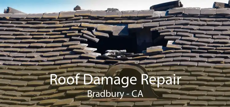 Roof Damage Repair Bradbury - CA