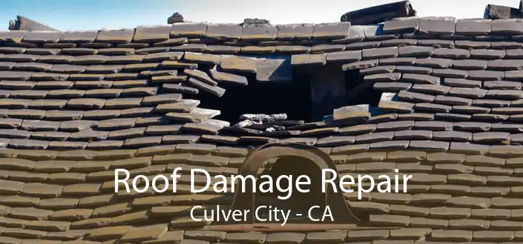 Roof Damage Repair Culver City - CA