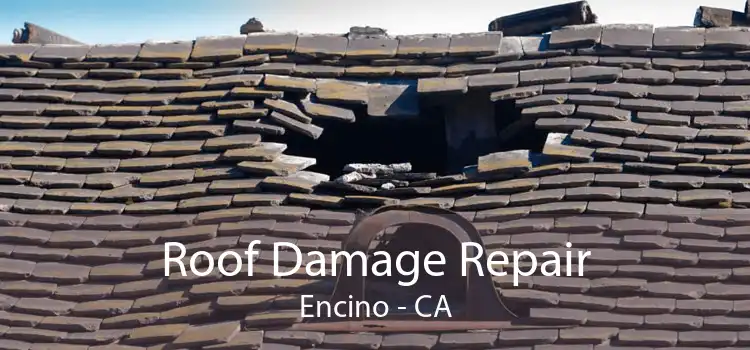 Roof Damage Repair Encino - CA