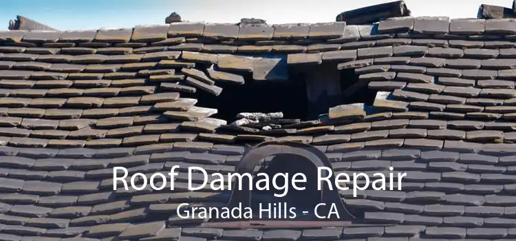 Roof Damage Repair Granada Hills - CA