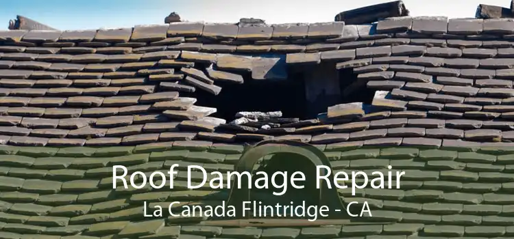 Roof Damage Repair La Canada Flintridge - CA