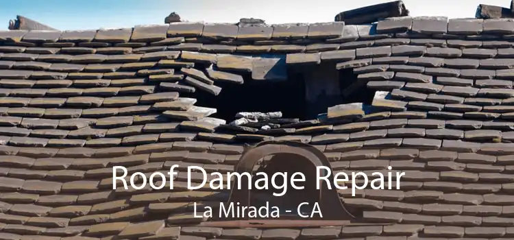 Roof Damage Repair La Mirada - CA