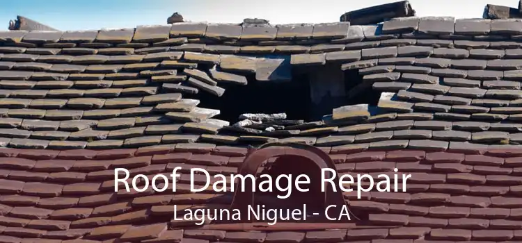 Roof Damage Repair Laguna Niguel - CA