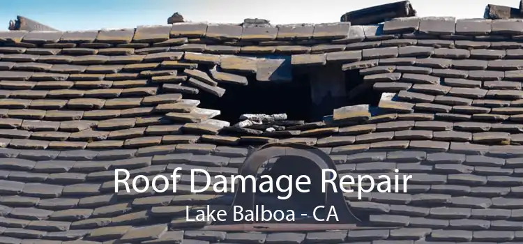 Roof Damage Repair Lake Balboa - CA