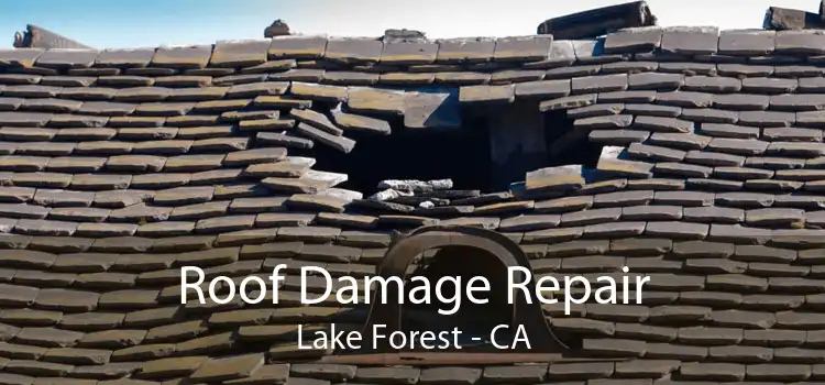 Roof Damage Repair Lake Forest - CA