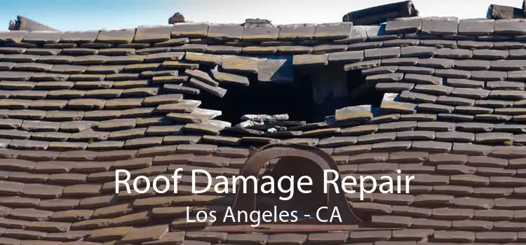 Roof Damage Repair Los Angeles - CA