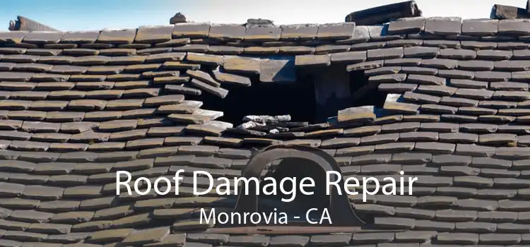 Roof Damage Repair Monrovia - CA