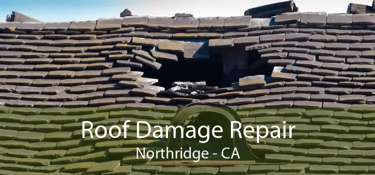 Roof Damage Repair Northridge - CA