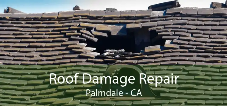 Roof Damage Repair Palmdale - CA