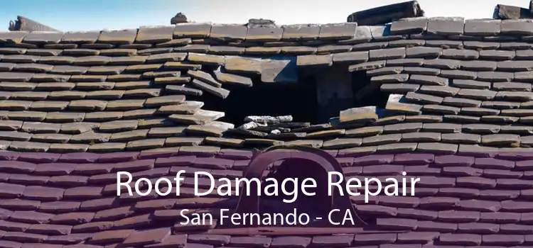 Roof Damage Repair San Fernando - CA