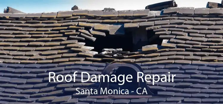 Roof Damage Repair Santa Monica - CA