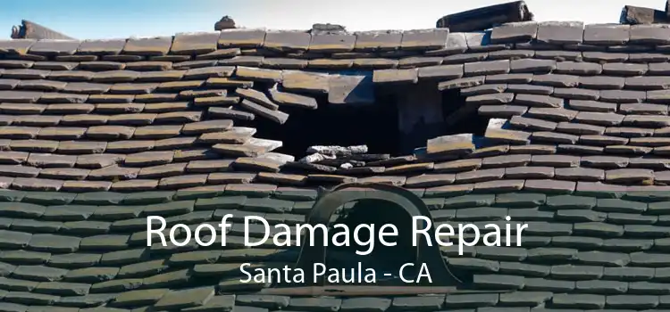 Roof Damage Repair Santa Paula - CA
