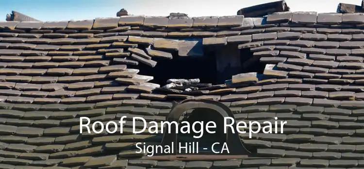 Roof Damage Repair Signal Hill - CA