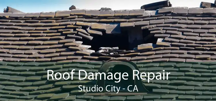 Roof Damage Repair Studio City - CA