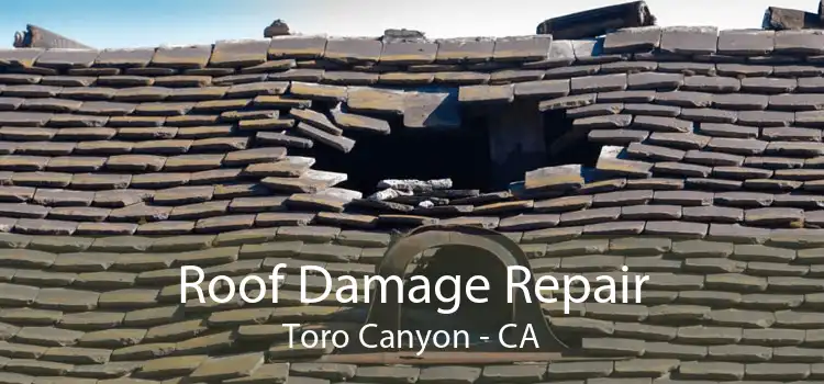 Roof Damage Repair Toro Canyon - CA