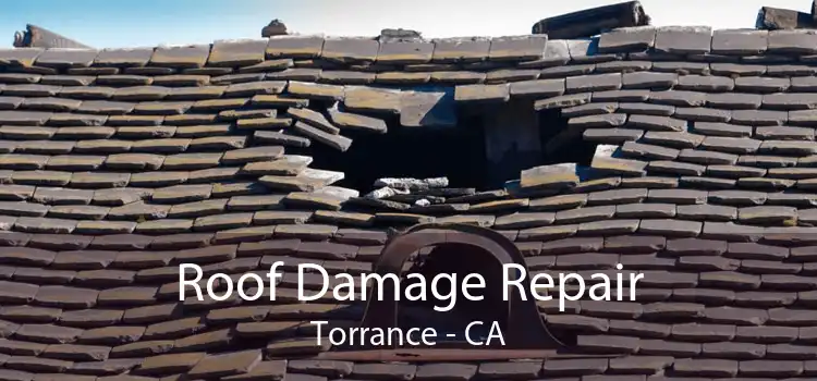 Roof Damage Repair Torrance - CA