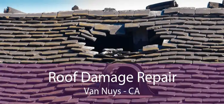 Roof Damage Repair Van Nuys - CA