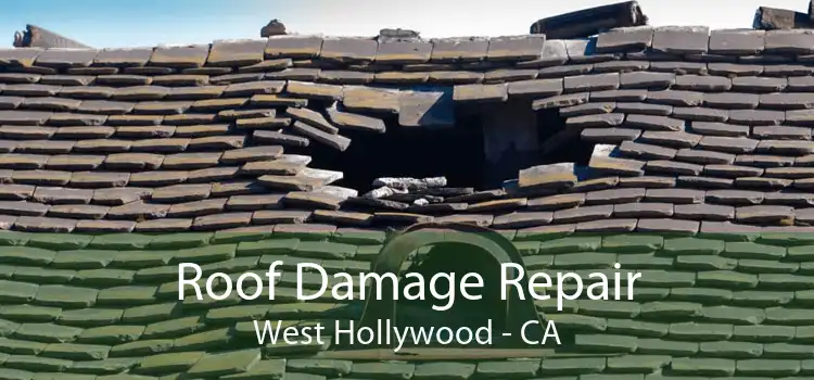 Roof Damage Repair West Hollywood - CA