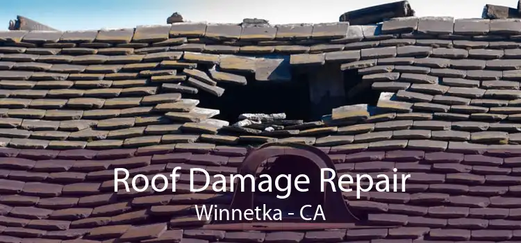 Roof Damage Repair Winnetka - CA