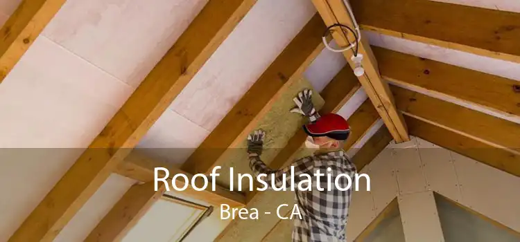 Roof Insulation Brea - CA