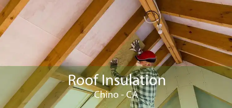 Roof Insulation Chino - CA