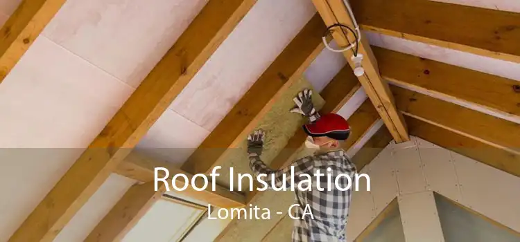 Roof Insulation Lomita - CA
