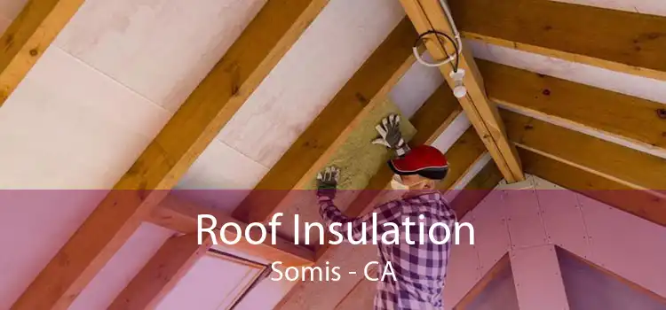 Roof Insulation Somis - CA