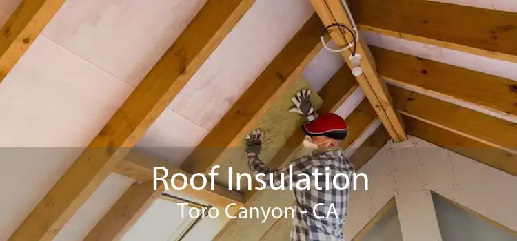 Roof Insulation Toro Canyon - CA