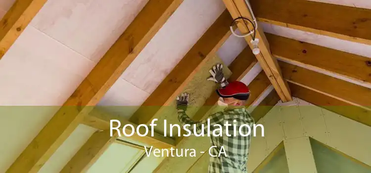 Roof Insulation Ventura - CA