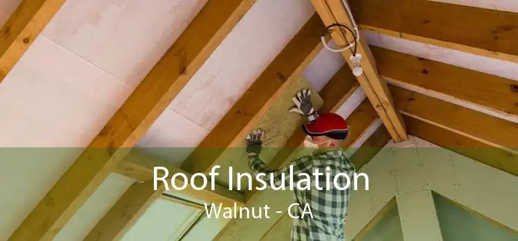 Roof Insulation Walnut - CA