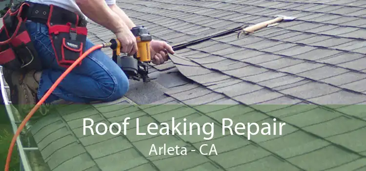 Roof Leaking Repair Arleta - CA
