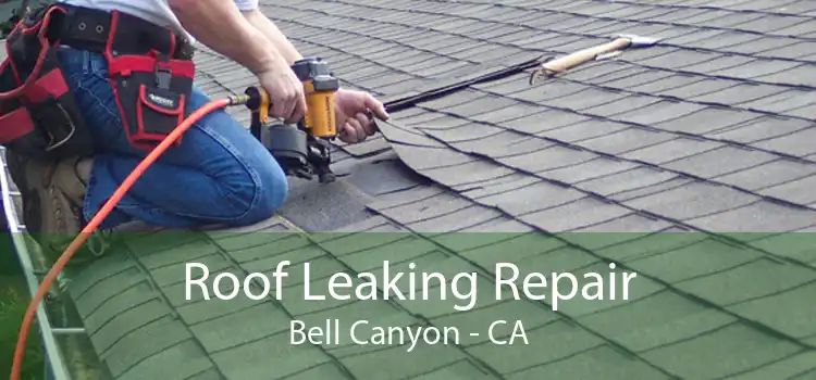 Roof Leaking Repair Bell Canyon - CA