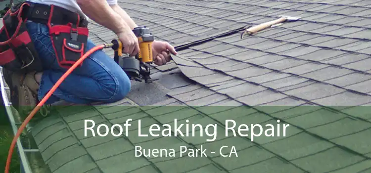 Roof Leaking Repair Buena Park - CA