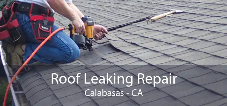 Roof Leaking Repair Calabasas - CA