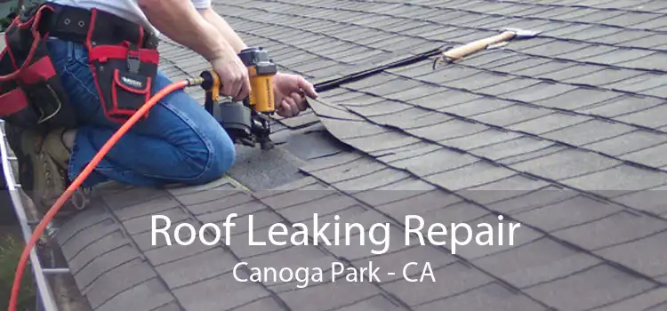 Roof Leaking Repair Canoga Park - CA