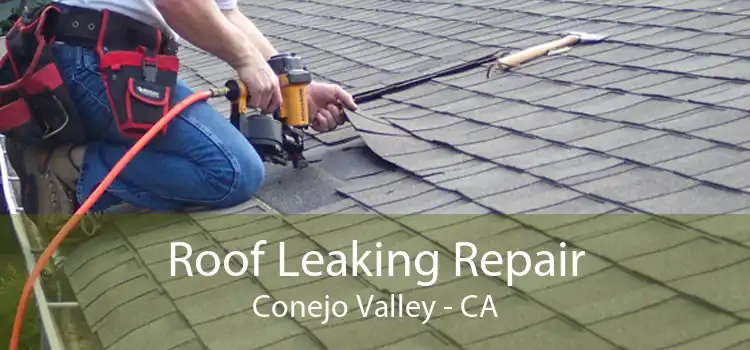 Roof Leaking Repair Conejo Valley - CA