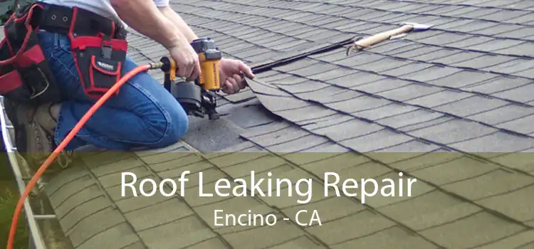 Roof Leaking Repair Encino - CA