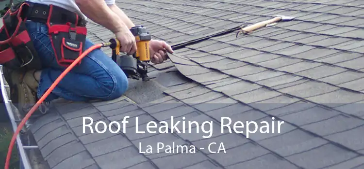 Roof Leaking Repair La Palma - CA
