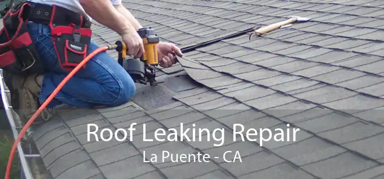 Roof Leaking Repair La Puente - CA