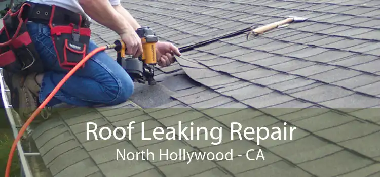 Roof Leaking Repair North Hollywood - CA