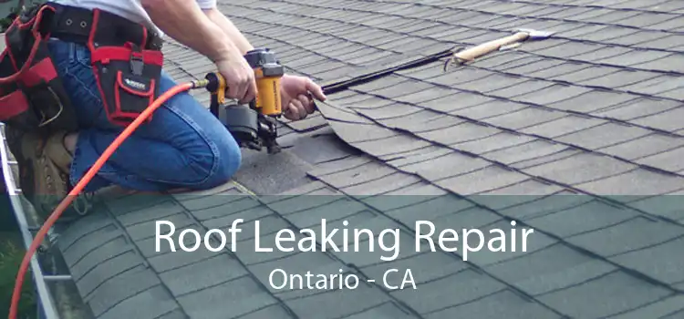 Roof Leaking Repair Ontario - CA