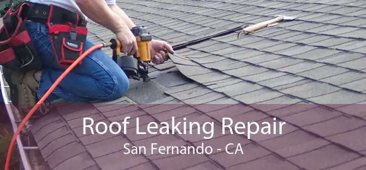 Roof Leaking Repair San Fernando - CA