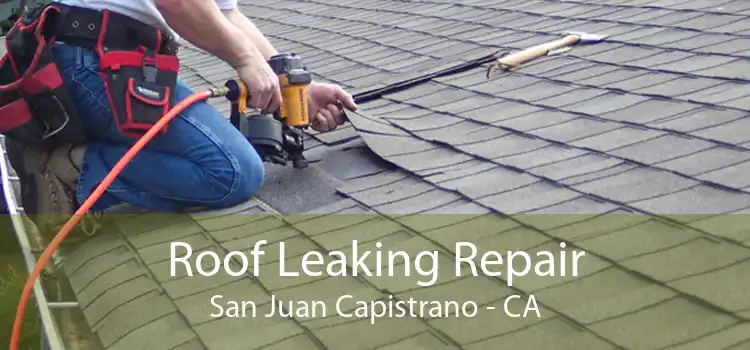 Roof Leaking Repair San Juan Capistrano - CA