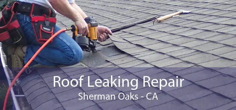Roof Leaking Repair Sherman Oaks - CA