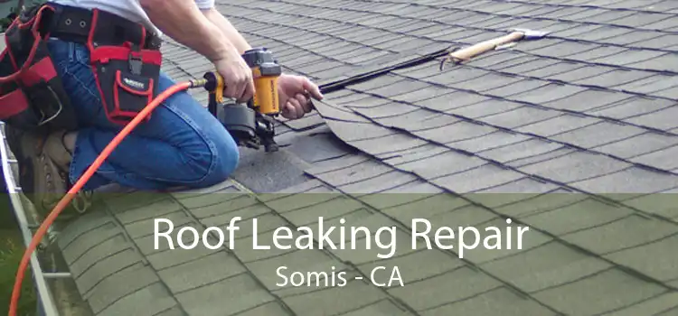 Roof Leaking Repair Somis - CA