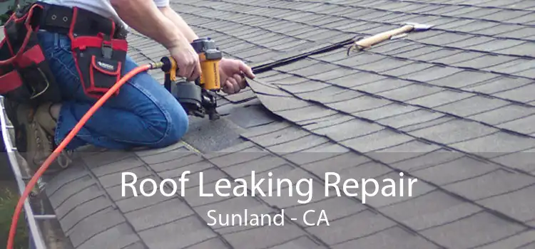 Roof Leaking Repair Sunland - CA