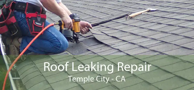 Roof Leaking Repair Temple City - CA