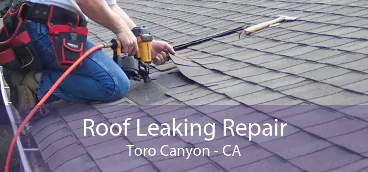 Roof Leaking Repair Toro Canyon - CA